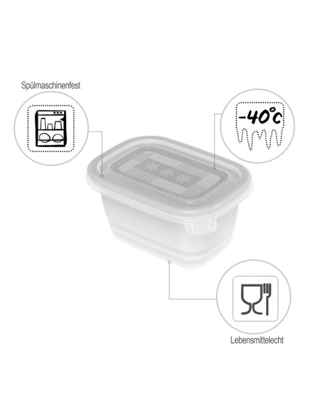 ROTHO Freeze - šaldiklio indas - 6x250ml