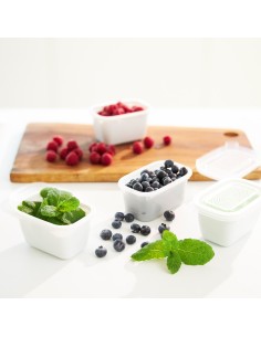 ROTHO Freeze - šaldiklio indas - 4x750ml 2