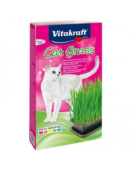 VITAKRAFT Kačių žolė - rinkinys katėms - 120 g