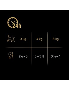 Sheba Selection in Sauce Sultingų skonių 12 x 85 g 2