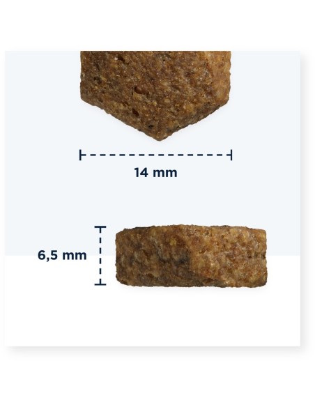 Eukanuba Breed Specific Cocker Spaniel 7,5 kg Suaugusių Viščiukas