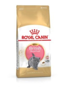 ROYAL CANIN British Shorthair Kitten - sausas kačių...